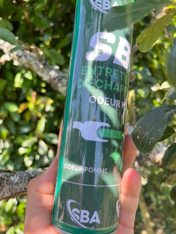 NETTOYANT POT D'ÉCHAPPEMENT SBA