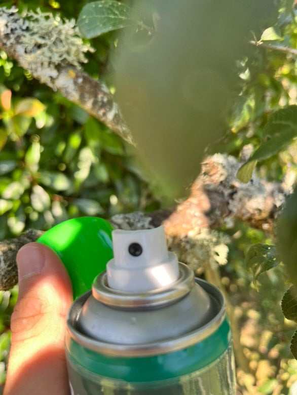 NETTOYANT POT D'ÉCHAPPEMENT SBA
